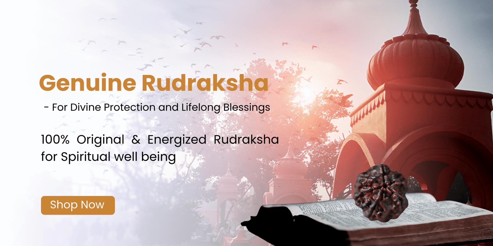 Himalayan Power Meets Modern Elegance (1)